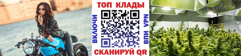 Что такое Волжский Псилоцибиновые грибы  Мефедрон  ГАШИШ  Alpha-PVP 