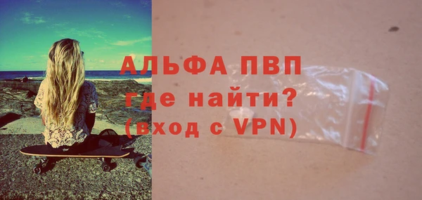 крисы Алзамай