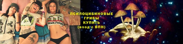 a pvp Алексеевка