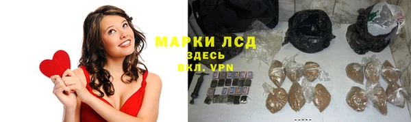 крисы Алзамай